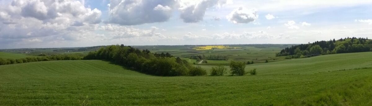 Thys Natur